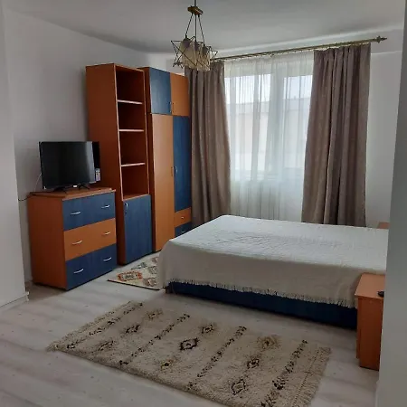 Apartment Apartament Andrei *