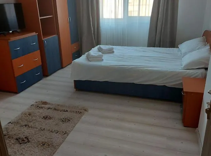 Apartament Andrei *